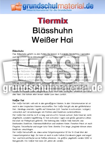 Blässhuhn - Weißer Hai.pdf